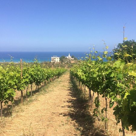 Agriturismo 'A Lanterna Marina di Monasterace Esterno foto