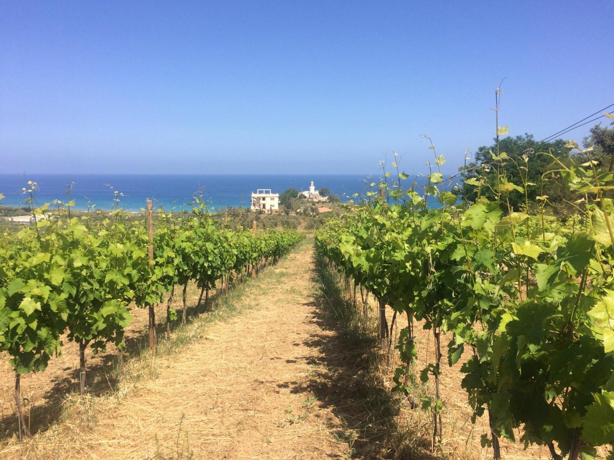 Agriturismo 'A Lanterna Marina di Monasterace Esterno foto
