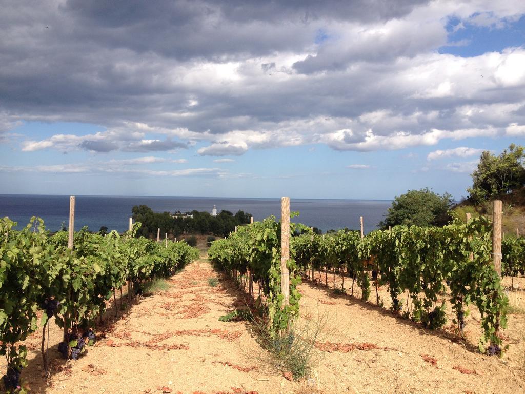 Agriturismo 'A Lanterna Marina di Monasterace Esterno foto