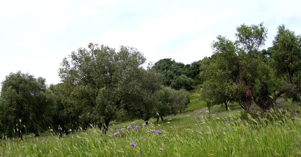 Agriturismo 'A Lanterna Marina di Monasterace Esterno foto