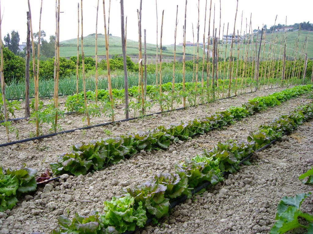 Agriturismo 'A Lanterna Marina di Monasterace Esterno foto